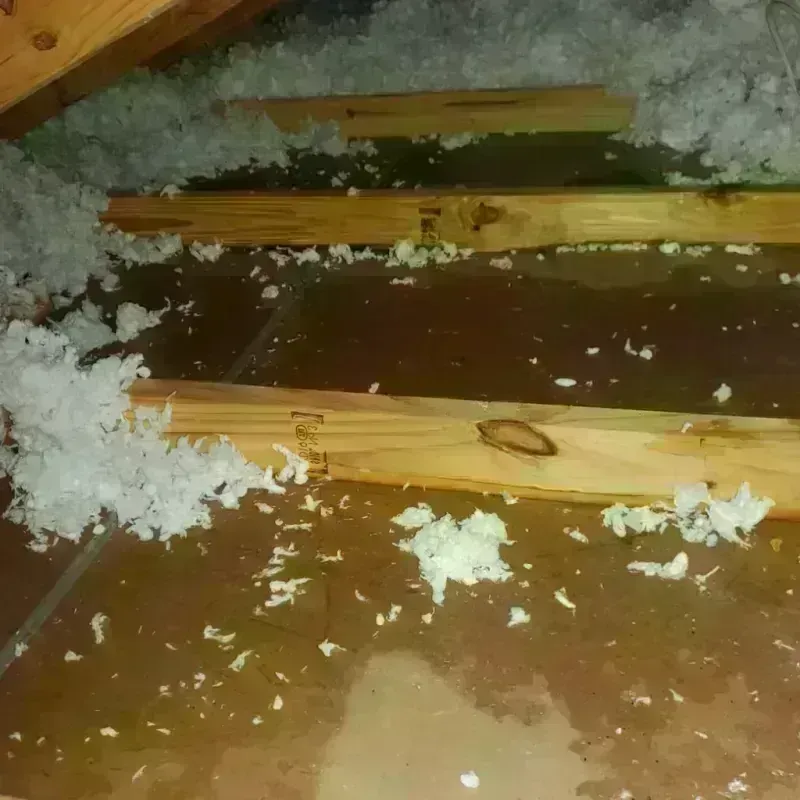 Attic Water Damage in Ashland City, TN